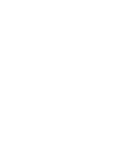 feninoauto